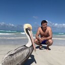 ���������� ������, ���� ������� �������, 36 ���, ������������ ��� ������, ����� � ���������