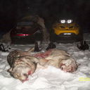 ���������� ����������, ���� ������� ������, 56 ���, ������������ ��� ������