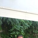 ���������� �������, ���� ������� �������, 38 ���, ������������ ��� ������, ����� � ���������