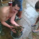 ���������� ���������, ���� ������� ����, 44 ����, ������������ ��� ������, ����� � ���������, c�������� ���������