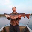 ���������� ���������, ���� ������� ���, 49 ���, ������������ ��� ����� � ���������, c�������� ���������