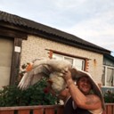 ���������� ��������, ���� ������� ���������, 44 ����, ������������ ��� ������, ����� � ���������, c�������� ���������