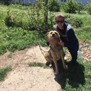 ���������� �������, ���� ������� Ҹ��, 31 ���, ������������ ��� ������, ����� � ���������