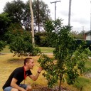  ,   , 36 ,   ,   , c 