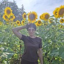 ���������� �������, ���� ������� ������, 48 ���, ������������ ��� c�������� ���������