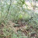 ���������� ������, ���� ������� Alexey, 30 ���, ������������ ��� ������, ����� � ���������, c�������� ���������, ���������