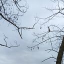 ���������� �������, ���� ����� ����, 21 ���, ������������ ��� ������, ����� � ���������