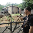 ���������� �����������, ���� ������� �������, 48 ���, ������������ ��� ������, ����� � ���������, ���������