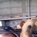 ���������� ��������, ���� ������� ������, 49 ���, ������������ ��� ������, ����� � ���������, c�������� ���������