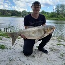 ���������� �������, ���� ������� ���������, 36 ���, ������������ ��� ������, ����� � ���������