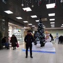 ���������� �������, ���� ������� ����, 35 ���, ������������ ��� ������, ����� � ���������, c�������� ���������