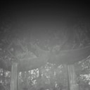  ,   , 53 ,     , c 