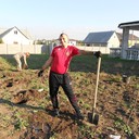 ���������� ���������, ���� ������� �������, 43 ����, ������������ ��� ������, ����� � ���������, c�������� ���������