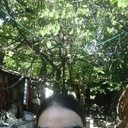  ,   _, 41 ,   