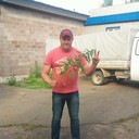 ���������� ���������, ���� ������� ����, 49 ���, ������������ ��� ������, ����� � ���������, c�������� ���������