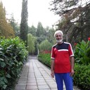  ,   shot, 65 ,   ,   , 