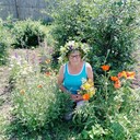 ���������� ������, ���� ������� ������ �����, 66 ���, ������������ ��� ����� � ���������, c�������� ���������, ���������