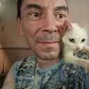 ���������� �������, ���� ������� ����, 53 ����, ������������ ��� ����� � ���������, c�������� ���������