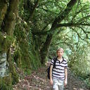 ���������� ����, ���� ������� ����, 38 ���, ������������ ��� ����� � ���������, c�������� ���������