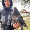 ���������� ��������, ���� ������� �����, 31 ���, ������������ ��� ������, ����� � ���������, c�������� ���������, ���������