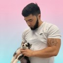  ,   Dimi_aka, 31 ,   ,   , c 