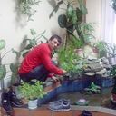 ���������� �����, ���� ������� �����, 33 ����, ������������ ��� ����� � ���������, c�������� ���������