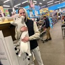 ���������� ���������, ���� ������� �����, 27 ���, ������������ ��� ������, ����� � ���������