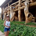 ���������� �����, ���� ������� ������, 102 ����, ������������ ��� ������, ����� � ���������