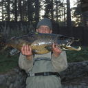 ���������� �����-���������, ���� ������� ������, 42 ����, ������������ ��� ������, ����� � ���������, c�������� ���������