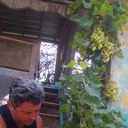 ���������� ������, ���� ������� ������, 50 ���, ������������ ��� ����� � ���������, c�������� ���������