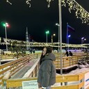 ���������� �����-���������, ���� ������� ���������, 20 ���, ������������ ��� ����� � ���������