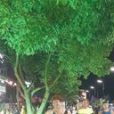  ,   , 57 ,   ,   , c 