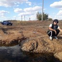 ���������� ������, ���� ������� �������, 31 ���, ������������ ��� ������, ����� � ���������, c�������� ���������