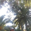 ���������� �����-���������, ���� ������� ������, 63 ����, ������������ ��� ����� � ���������, c�������� ���������