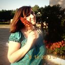 ���������� �����, ���� ������� ���������, 33 ����, ������������ 