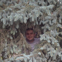 ���������� ������, ���� ������� ����, 36 ���, ������������ ��� ������, ����� � ���������, c�������� ���������