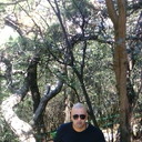  ,   , 43 ,   