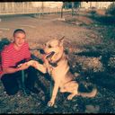 ���������� ���������, ���� ������� ����, 31 ���, ������������ ��� ������, ����� � ���������, c�������� ���������