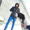 ���������� ������, ���� ������� ����, 26 ���, ������������ ��� ������, ����� � ���������, c�������� ���������