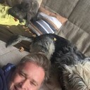 ���������� ������, ���� ������� Vitavict, 50 ���, ������������ ��� ������, ����� � ���������, c�������� ���������, ���������