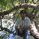  ,   Baki, 51 ,     , c 