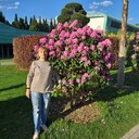 ���������� ����, ���� ������� �������, 68 ���, ������������ ��� c�������� ���������