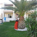 ���������� ���������, ���� ������� ������, 36 ���, ������������ ��� ������, ����� � ���������, c�������� ���������