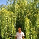 ���������� �����-���������, ���� ������� ���������, 46 ���, ������������ ��� ������, ����� � ���������, c�������� ���������