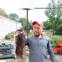  ,   Bahodir, 44 ,   ,   , c 