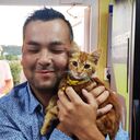 ���������� �����������, ���� ������� Miller, 37 ���, ������������ ��� ������, ����� � ���������, c�������� ���������