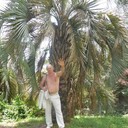 ���������� �������, ���� ������� ����, 57 ���, ������������ ��� ������, ����� � ���������, c�������� ���������