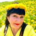 ���������� �����������, ���� ������� �����, 54 ����, ������������ ��� ������, ����� � ���������, c�������� ���������