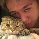 ���������� ������, ���� ������� ���������, 31 ���, ������������ ��� ������, ����� � ���������, ���������