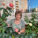  ,   , 62 ,   c 